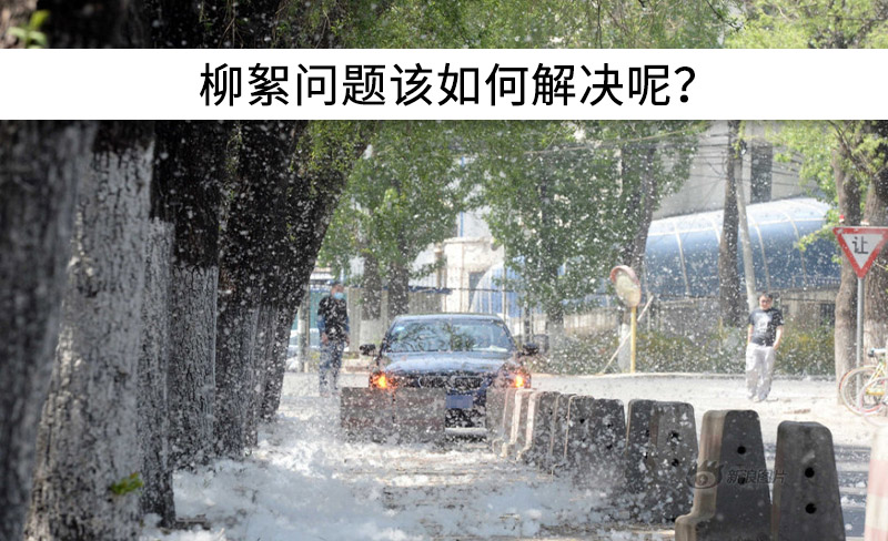 遇到“柳絮”不慌!這樣做，節(jié)能維修費(fèi)用
